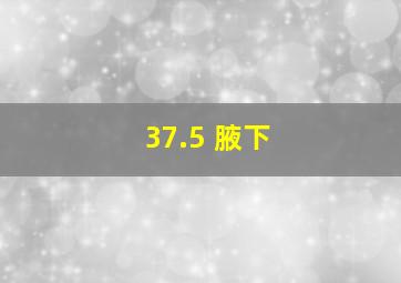 37.5 腋下